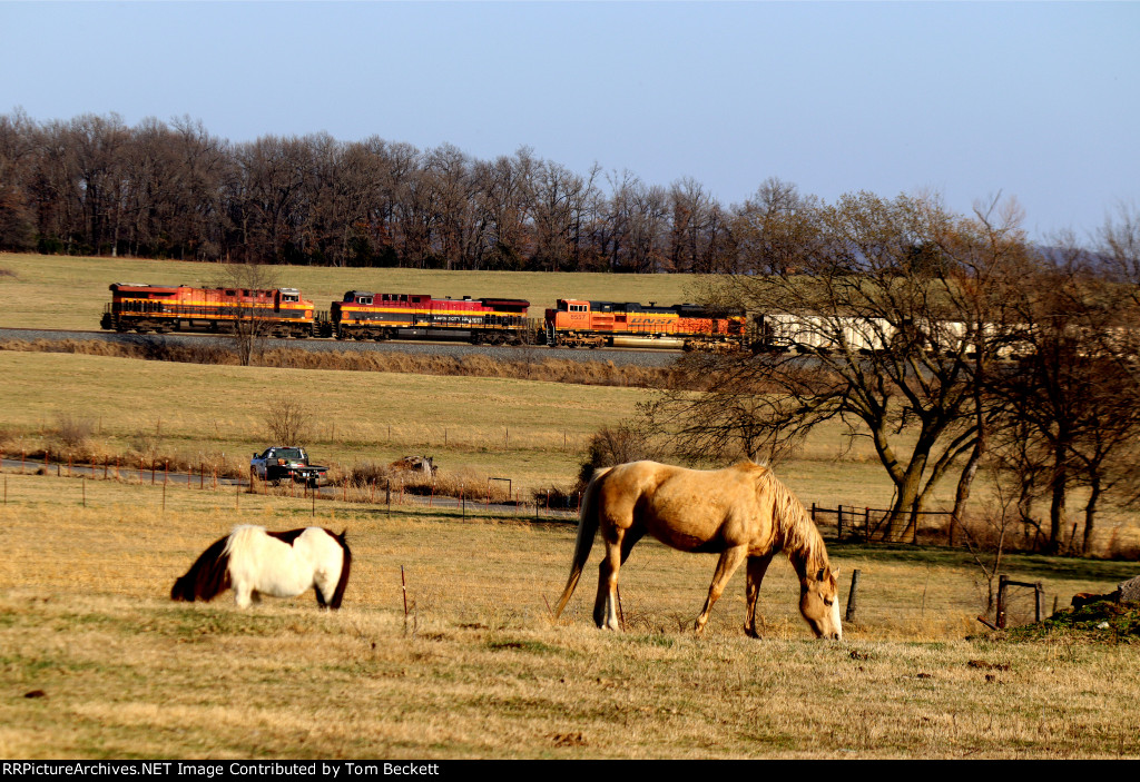 Horsey DPU